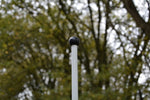 6ft DELUXE 1/2" (12.7mm) Flag-pin (all colours) - Active Golf Projects